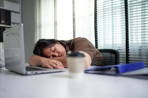 Zenso Official Singapore Result