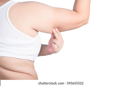 Zenso Official Singapore Result